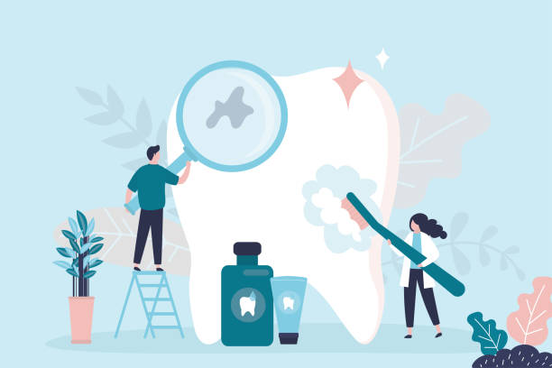 Best Traditional Braces  in Ormond By The Sea, FL